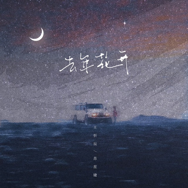 苏婷🎀.——【中文电摇】去年的花开DJ版