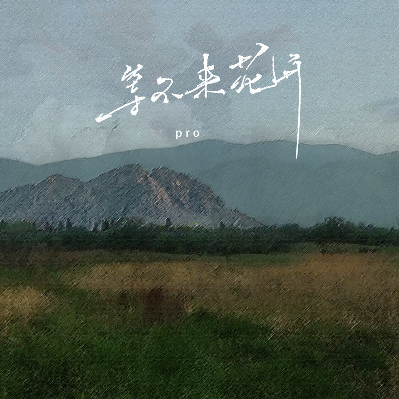 『等不来花开DJ』 我们的爱 原本只是意外