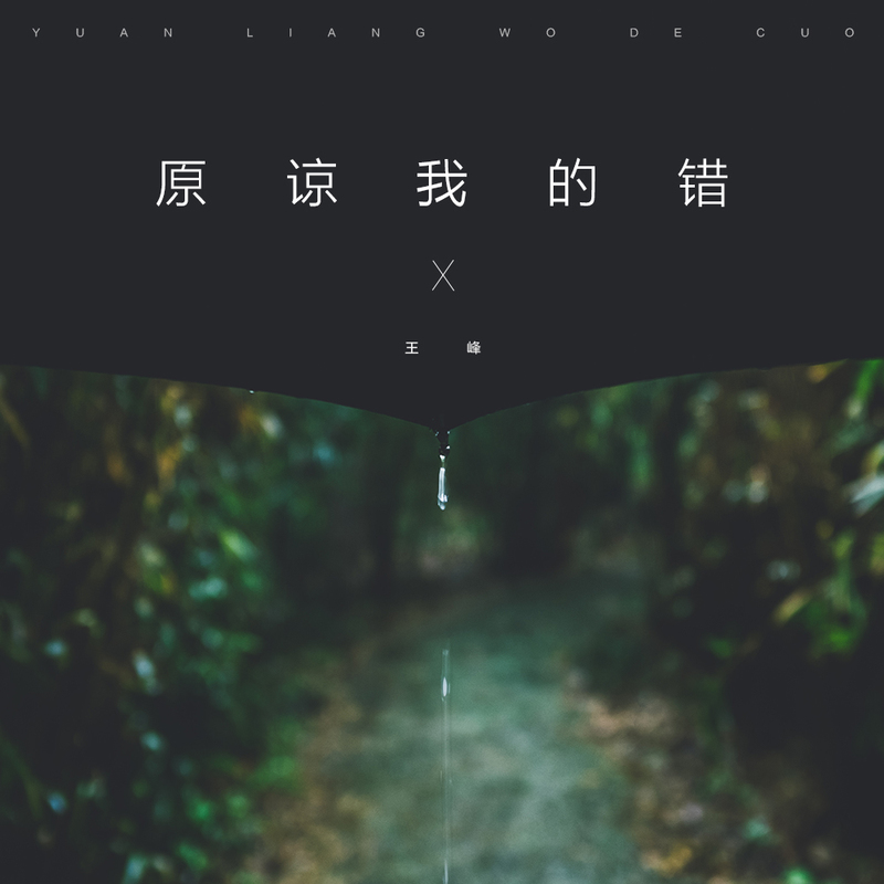 原谅我的错(DJ何鹏版)