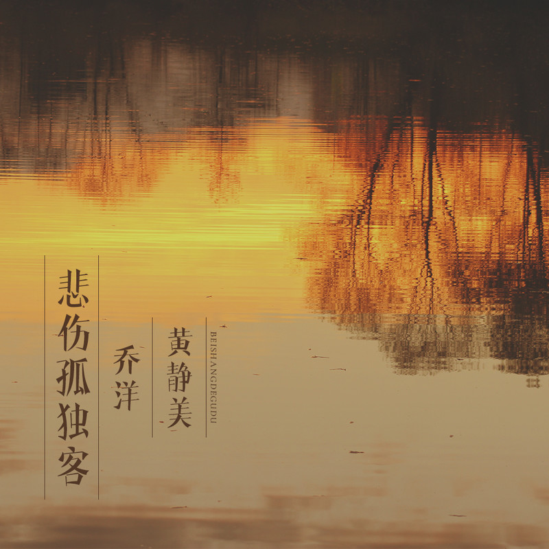 悲伤孤独客 (DJ.House版)