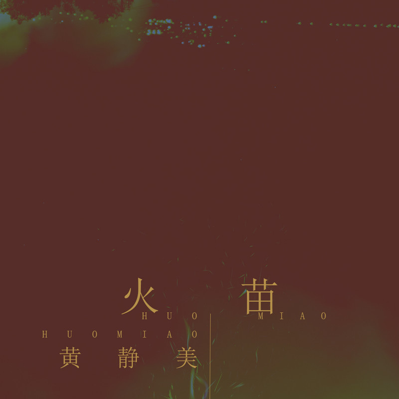 火苗 (DJ.House版)