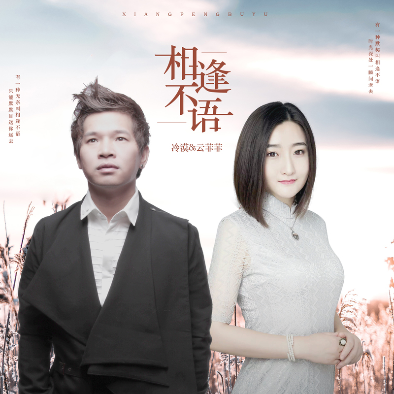 相逢不语(DJ何鹏版)