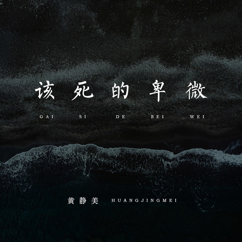 该死的卑微（DJ版）