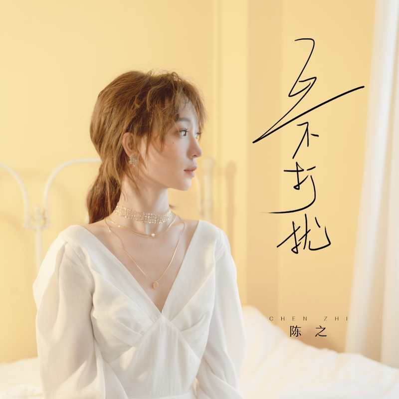 互不打扰 (DJ伟然版)