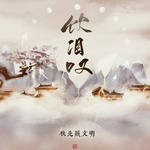 饮泪叹(DJ阿卓版)