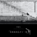 你朝我的心开了一枪DJ版