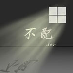 不配（DJ沈念版）