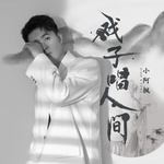 戏子唱人间(DJ版)