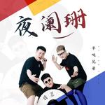 夜阑珊(DJ名龙版)