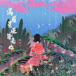 满目星辰皆是你DJ版