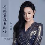 想问情深有几许(DJ默涵版)