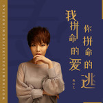 我拼命的爱你拼命的逃DJ凯利版