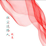 红尘迷路人（DJ沈念版）