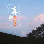 真的爱着你（DJ 版）