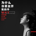 为什么你要放开我的手(Dj阿远版)