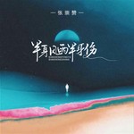半身风雨半身伤 (DJ范小松版)
