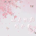 这朵桃花我不要DJ版