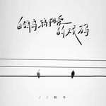 白鸽乌鸦相爱的戏码