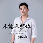 不能不想你(DJ九零版)