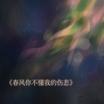 春风你不懂我的伤悲